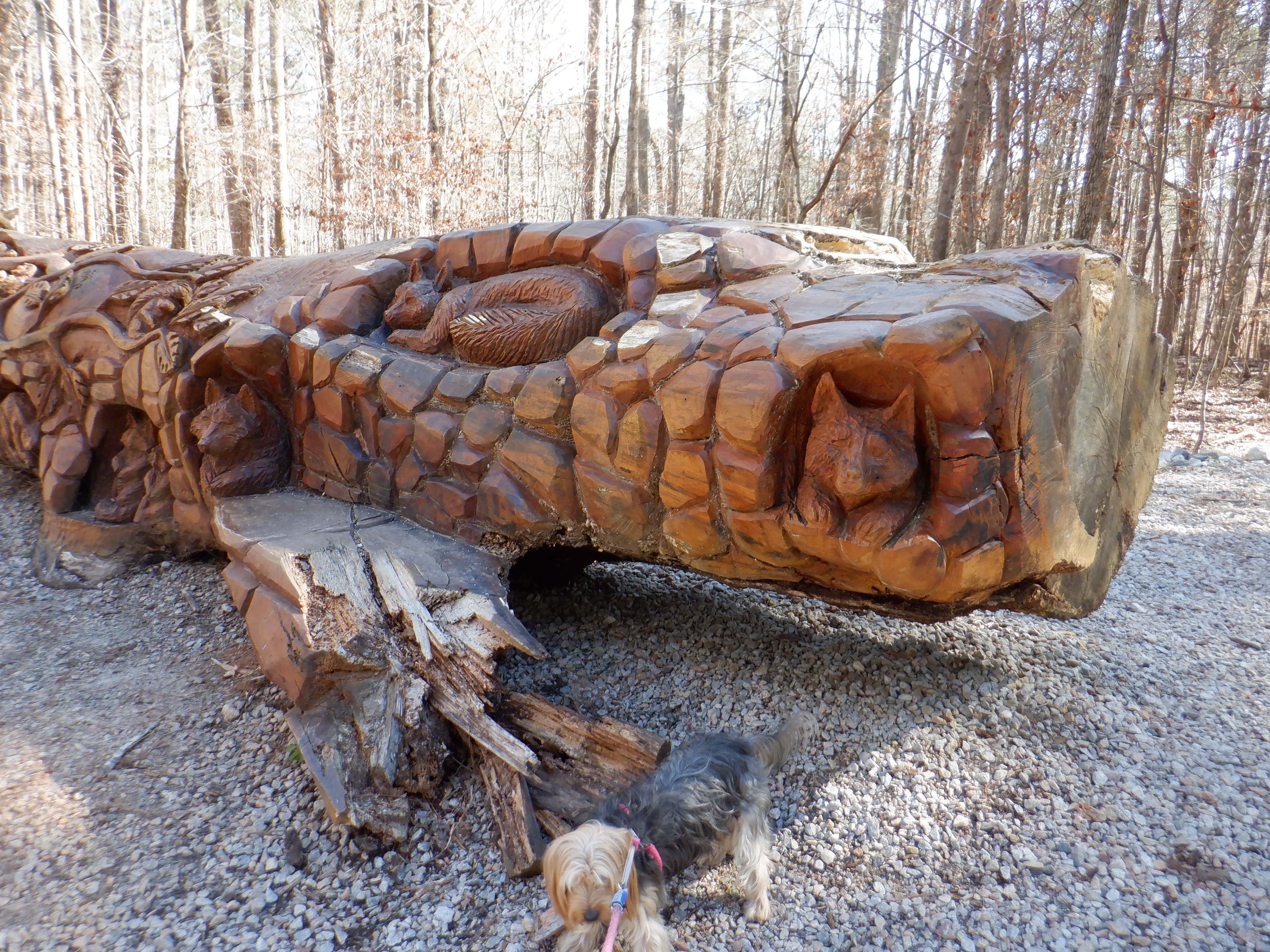 ./2020/01 - Find Larry/DSCF0841.JPG